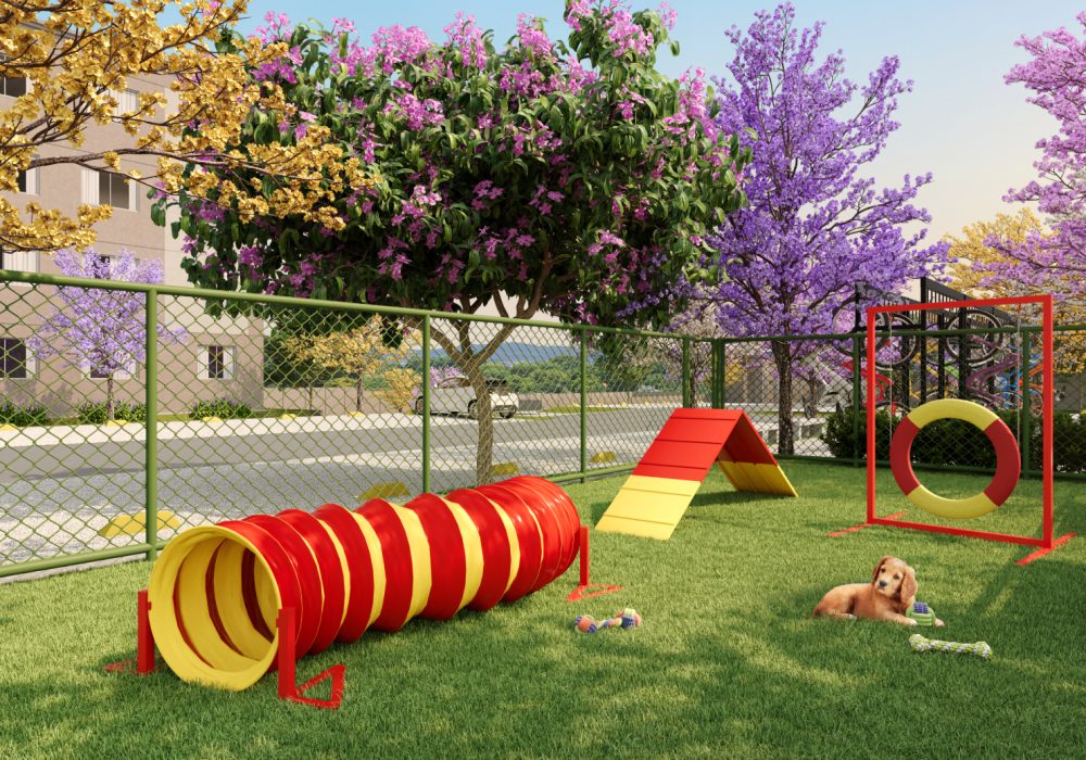 SOL DO MEDITERRÂNEO BA_PLAY PET_CAM 02_003