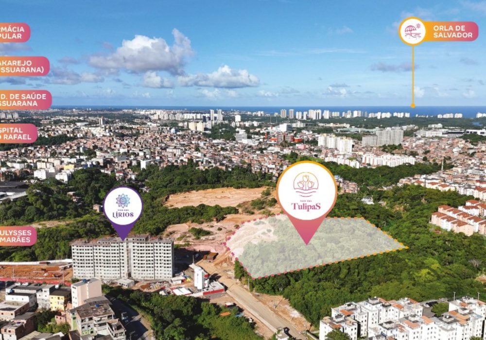 Vista Aérea do Vale das Tulipas